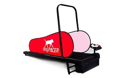 dogpacer-lf-3.1-400.jpg