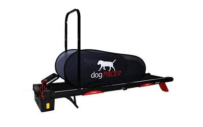 dogpacer-lf-4.0-400.jpg